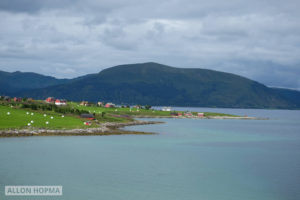 Red houses at the edge of a fjord