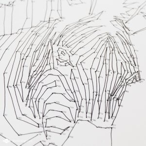 Dot-to-dot puzzelboek | Verbind de puntjes en maak een mooie tekening zoals deze zebra.
